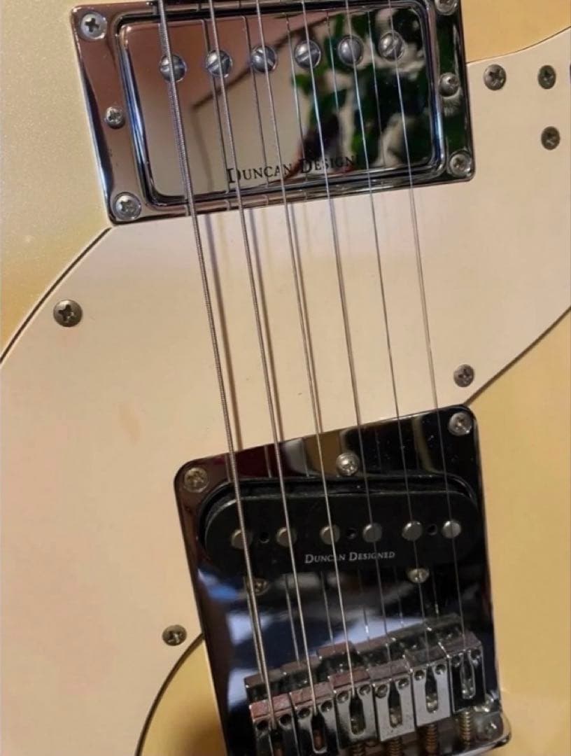 Daisy Rock Tom Boy (テレキャスター)