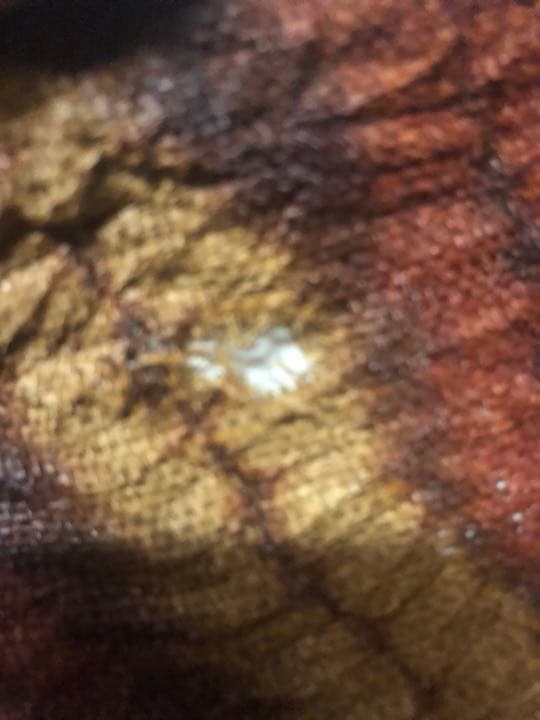 アフリカ コートジボアール ディダ族衣装値下げしました