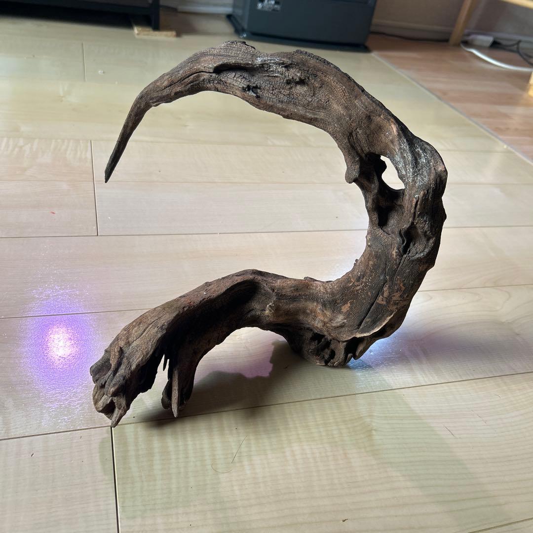 ADA ホーンウッド　L〜XL サイズ