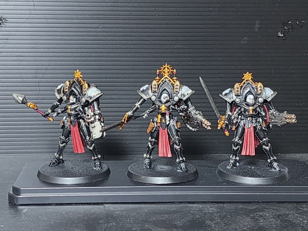 週刊ウォーハンマー　アデプタ•ソロリタス全種類塗装済み、ケース付き。バラ売り不可