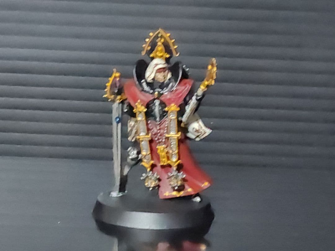 週刊ウォーハンマー　アデプタ•ソロリタス全種類塗装済み、ケース付き。バラ売り不可