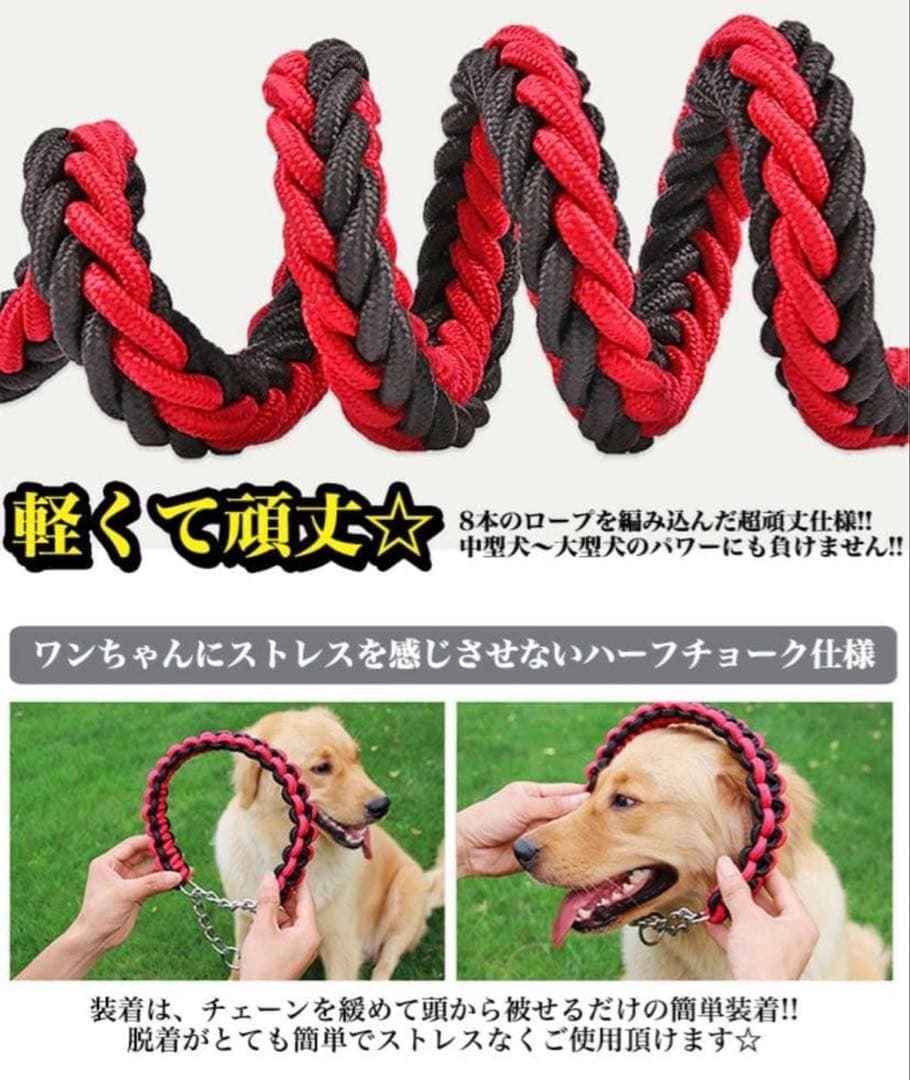 ハーフチョーク＆リードセット 首輪