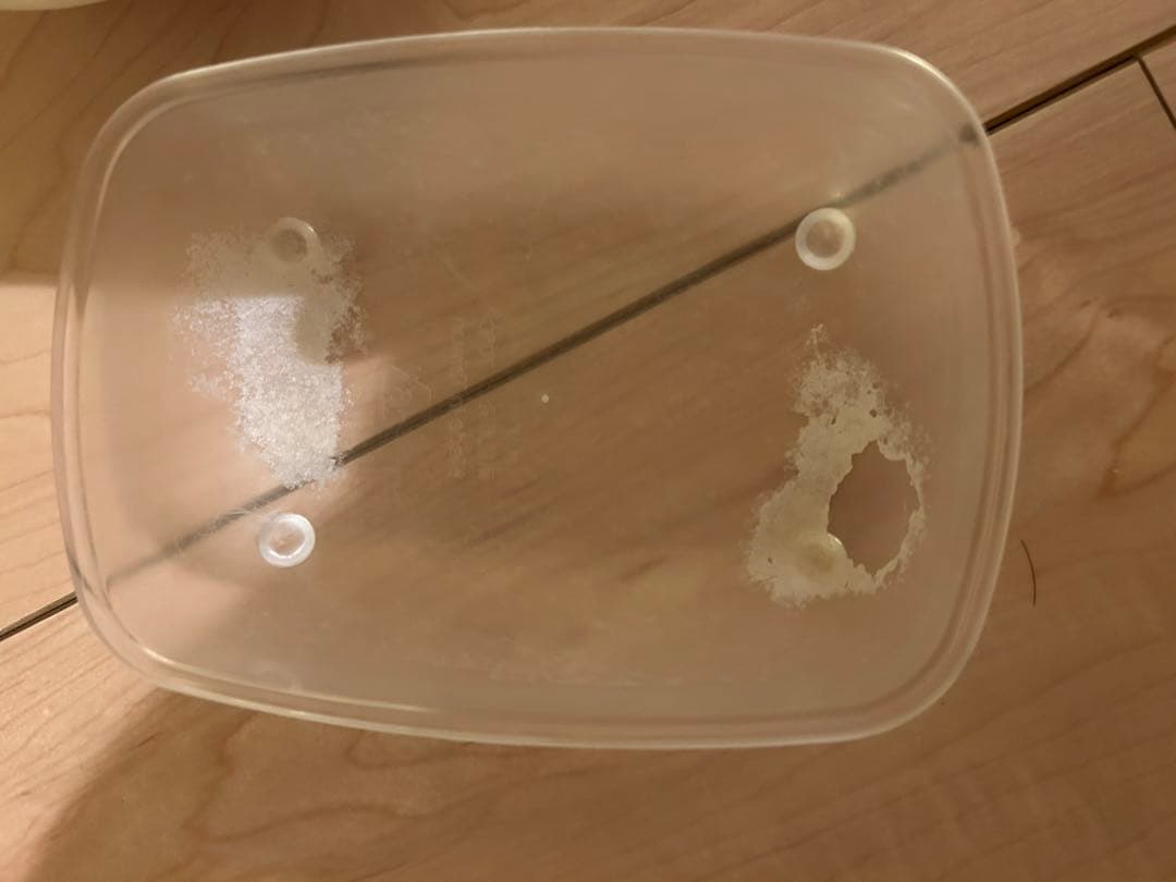 ゴールデンハムスター飼育セット