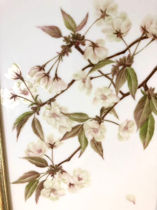 陶板　山桜　ボタニカルアーティスト ― 石川美枝子