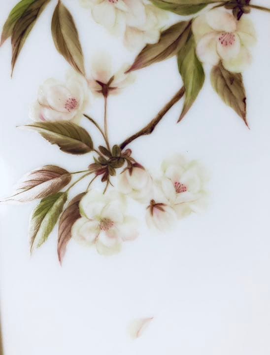 陶板　山桜　ボタニカルアーティスト ― 石川美枝子