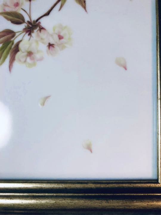 陶板　山桜　ボタニカルアーティスト ― 石川美枝子