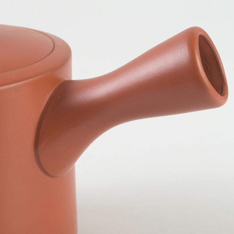 煎茶道具　常滑焼　朱泥　漢詩竹刻　横手急須　V　9580