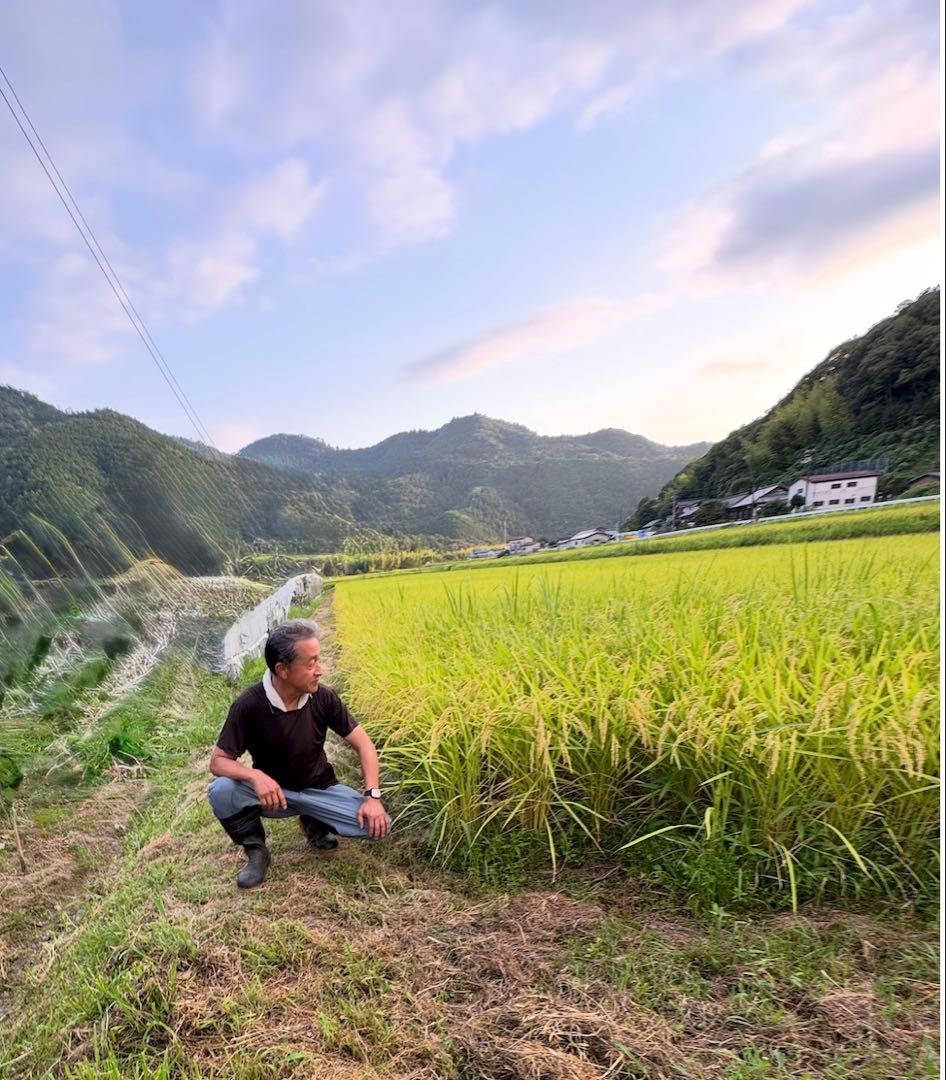 令和7年度愛媛県産コシヒカリ10k 特別栽培米　エコえひめ(一等米)
