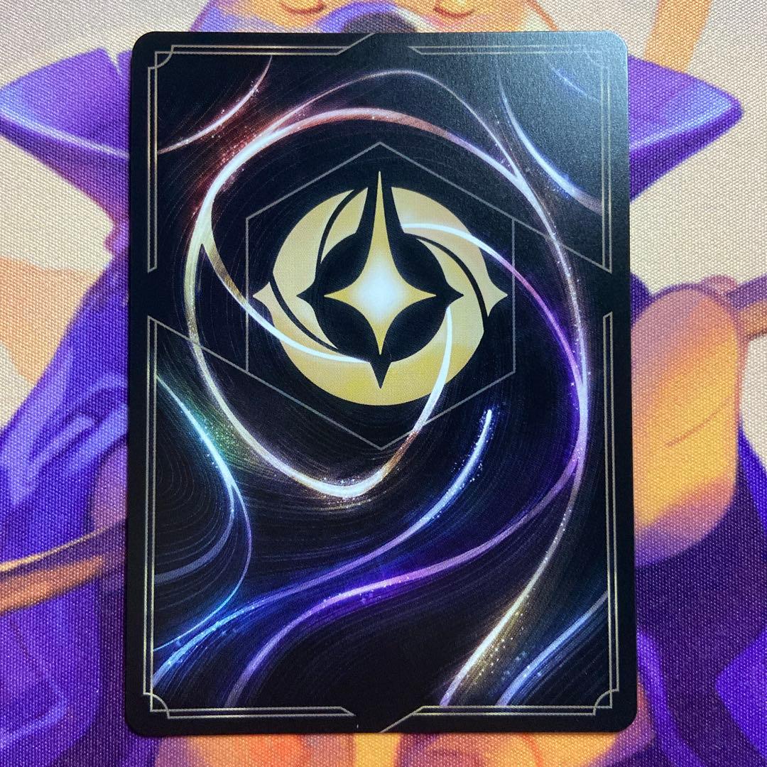 ディズニー ロルカナ サークル・オブ・ライフ エンチャンテッド 2枚