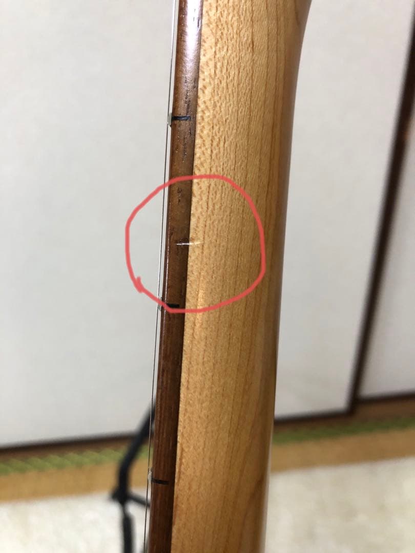 Bacchus バッカス　テレキャスタータイプ　BTC-1R 3TS