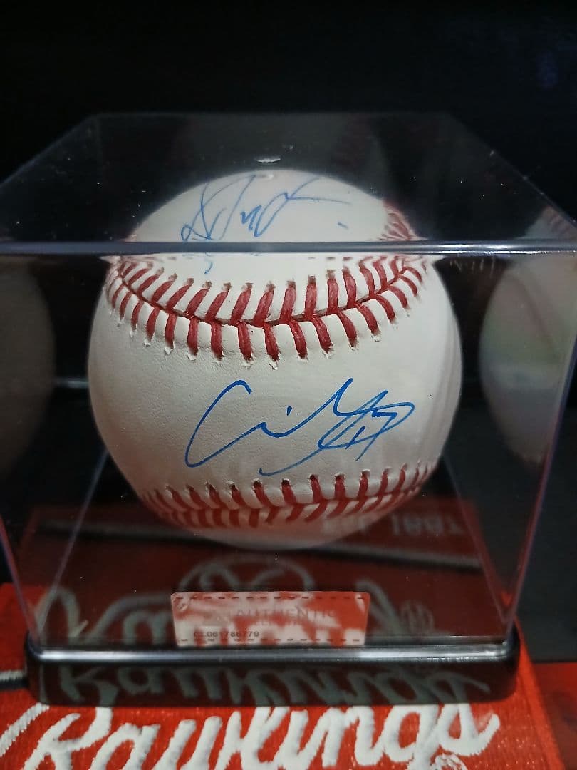 大谷翔平 山本由伸 佐々木朗希　直筆サインボール　ドジャース 3選手 ケース付き