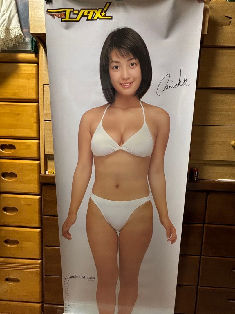 小向美奈子　白ビキニ ポスター