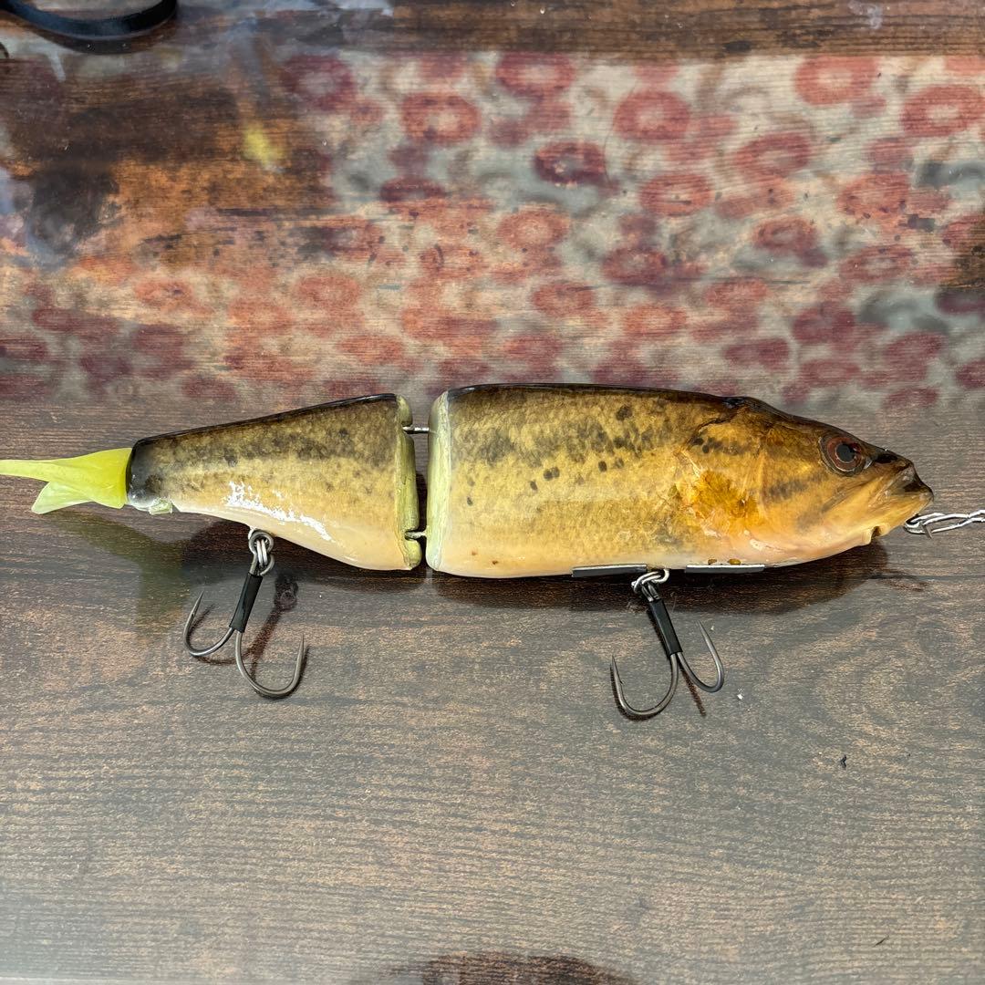 クラッシュ9魚皮