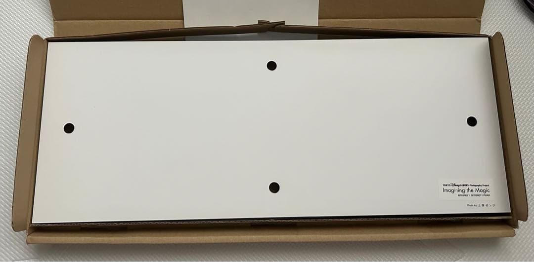 ディズニー Imagining the Magic フォトパネル