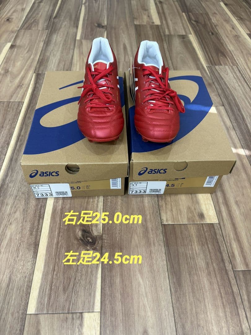 アシックスdsライトエックスフライ5 右足25.0cm左24.5cm