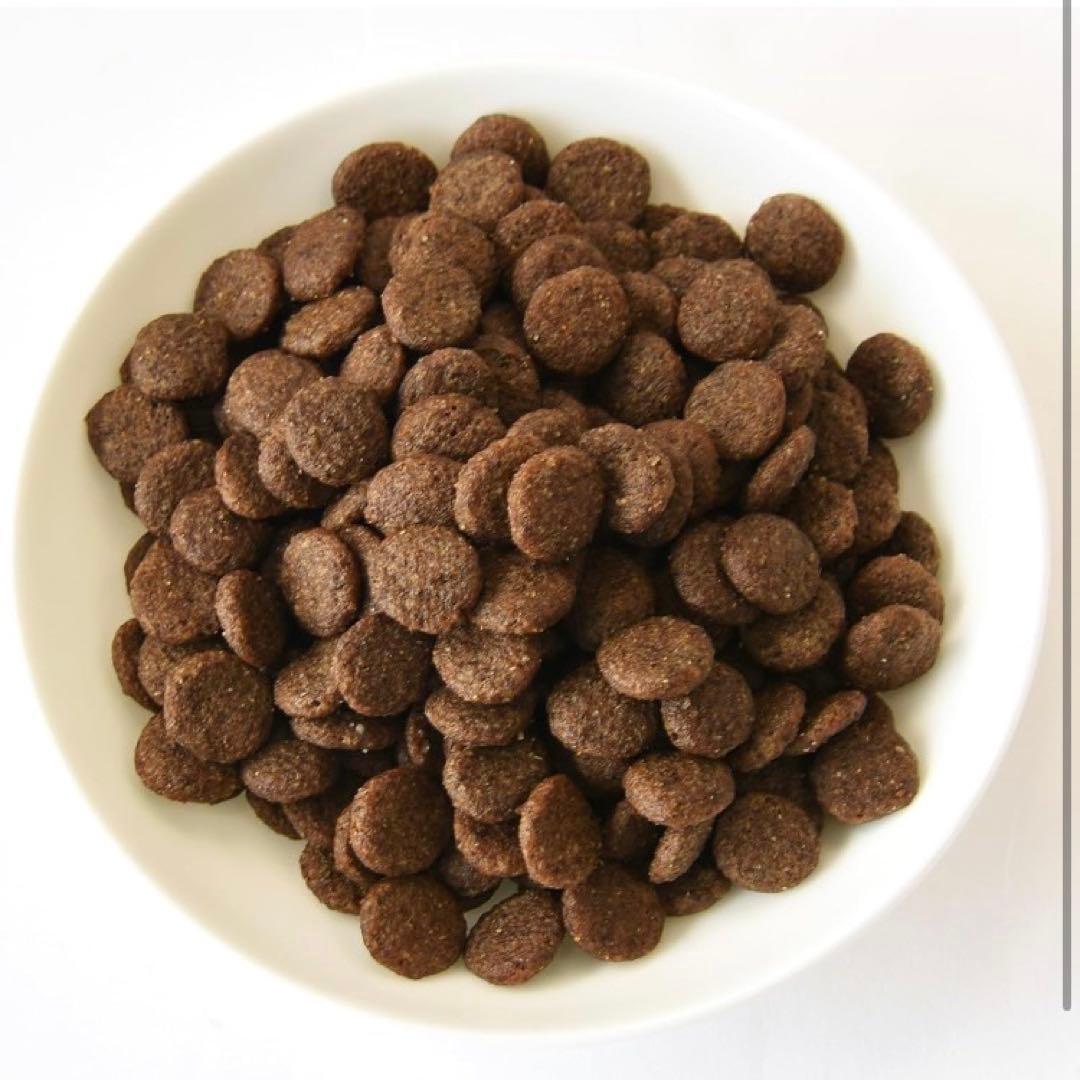 ドッグフード erilal@