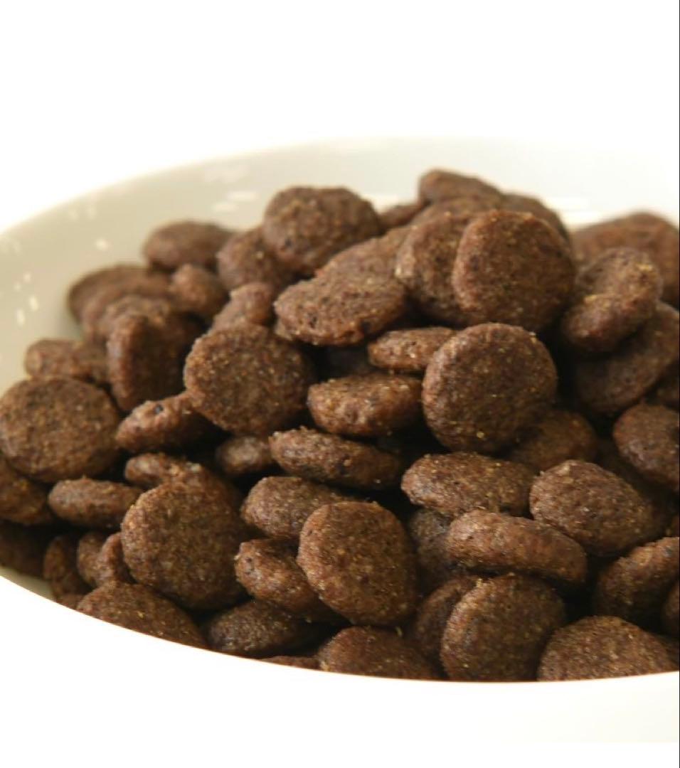 ドッグフード erilal@