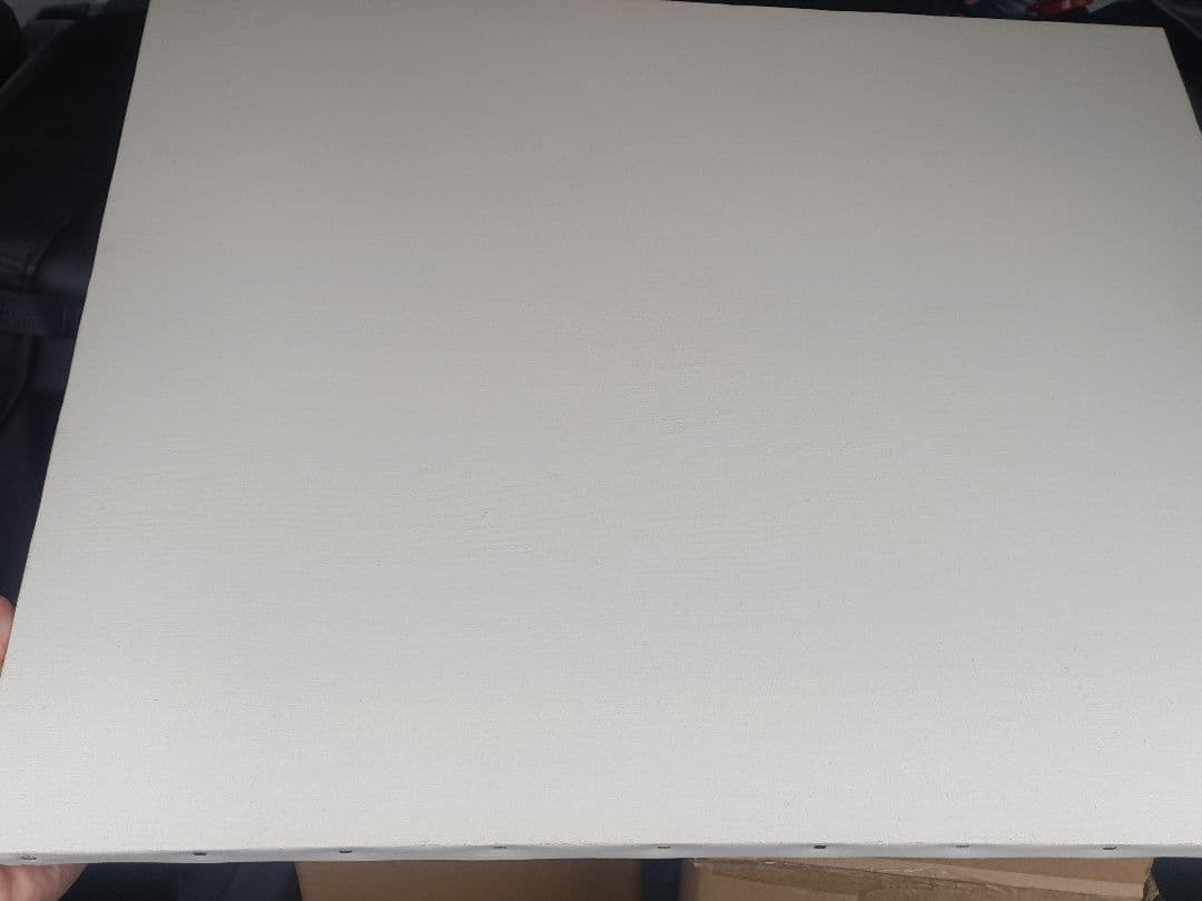 F15の中目 キャンバス バラ売り可 9枚 画材 画板 絵画