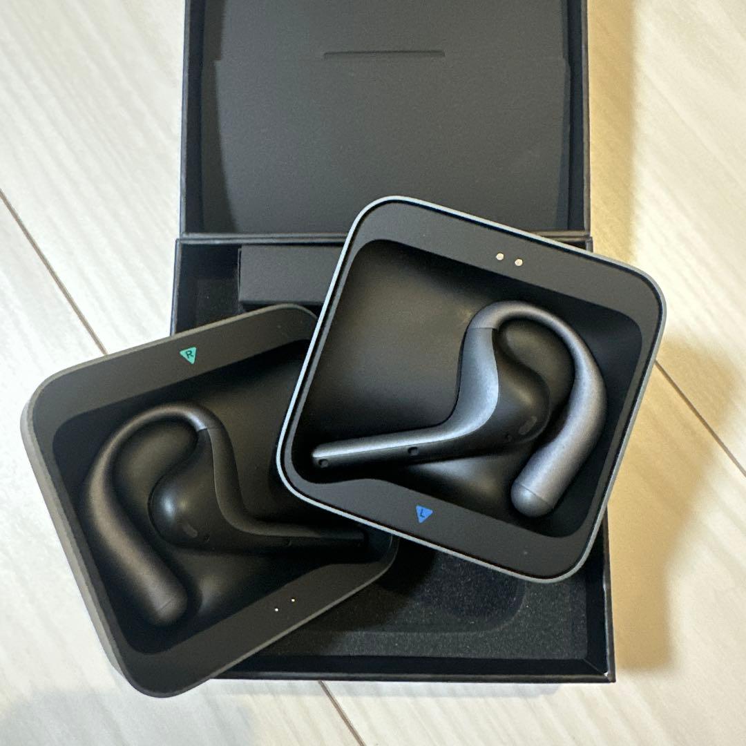 Timekettle AI Interpreter Earbuds ブラック