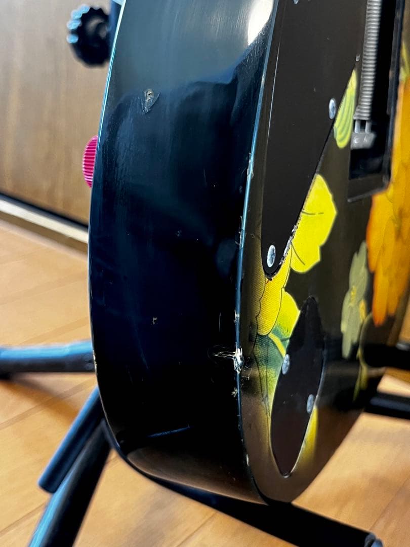 Ibanez JEM77 Floral Pattern初期スティーヴヴァイモデル