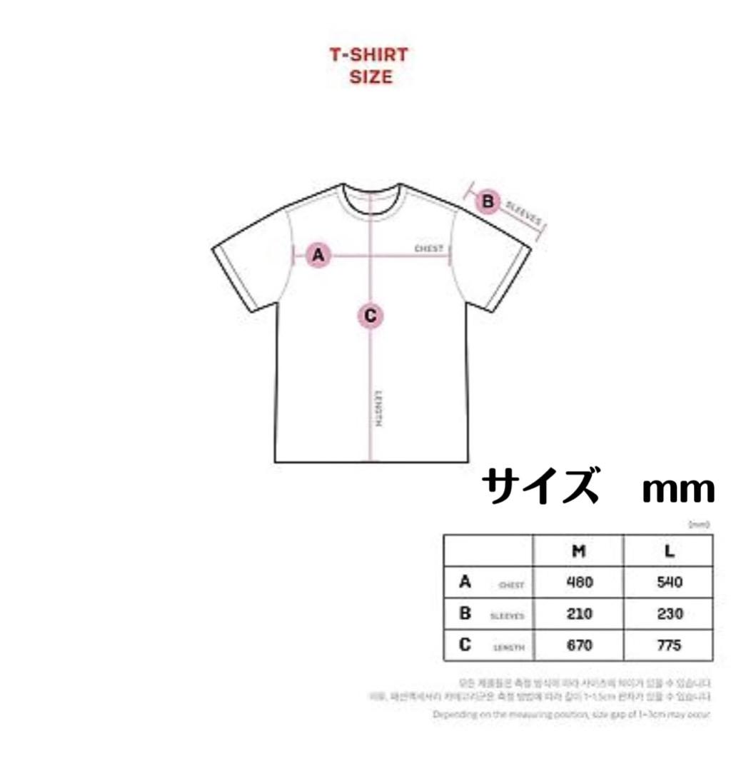 新品タグ付き！未開封！BTS LOVE YOURSELF 公式 ツアーTシャツ