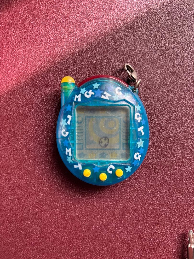 【動作確認済】祝ケータイかいツー！たまごっちプラス　クリアぴんく　クリアぶるー