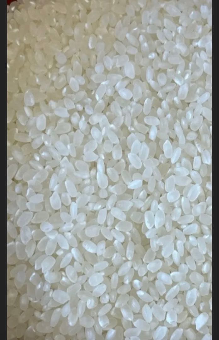 令和7年　新米　大分県産なつほのか　白米20㎏キロ　精米済み分　お米こめ