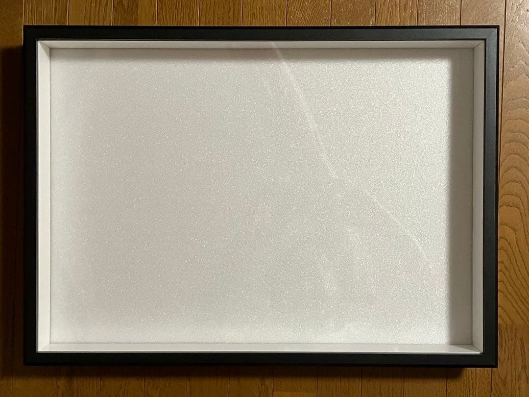 標本箱A2サイズ2セット