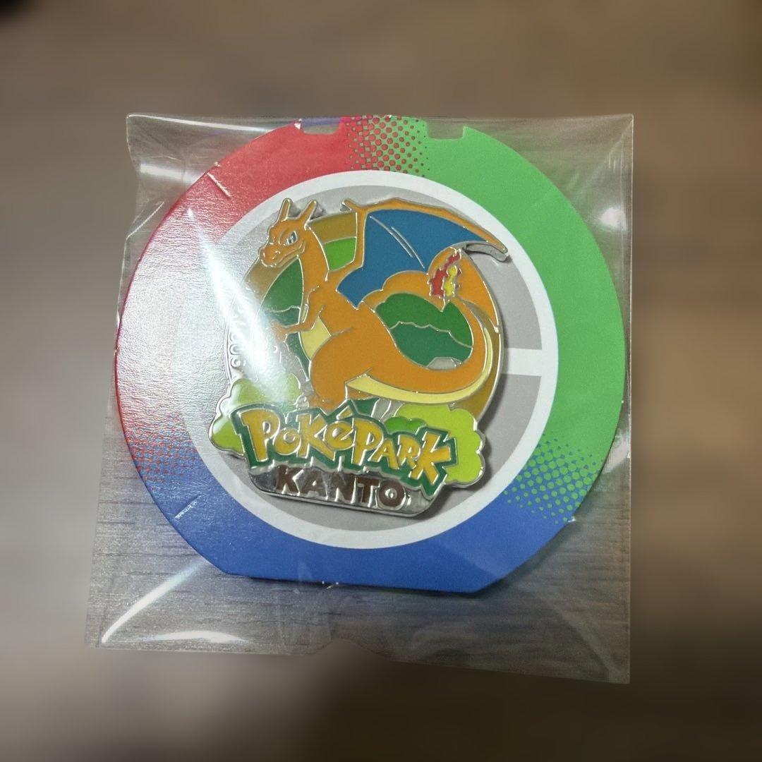 ポケパーク　ピンズ　リザードン