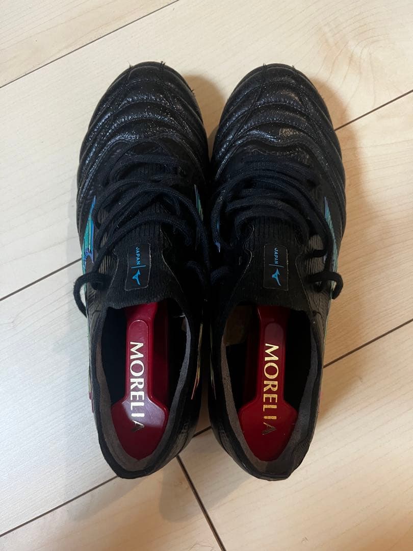 モレリアネオ3β