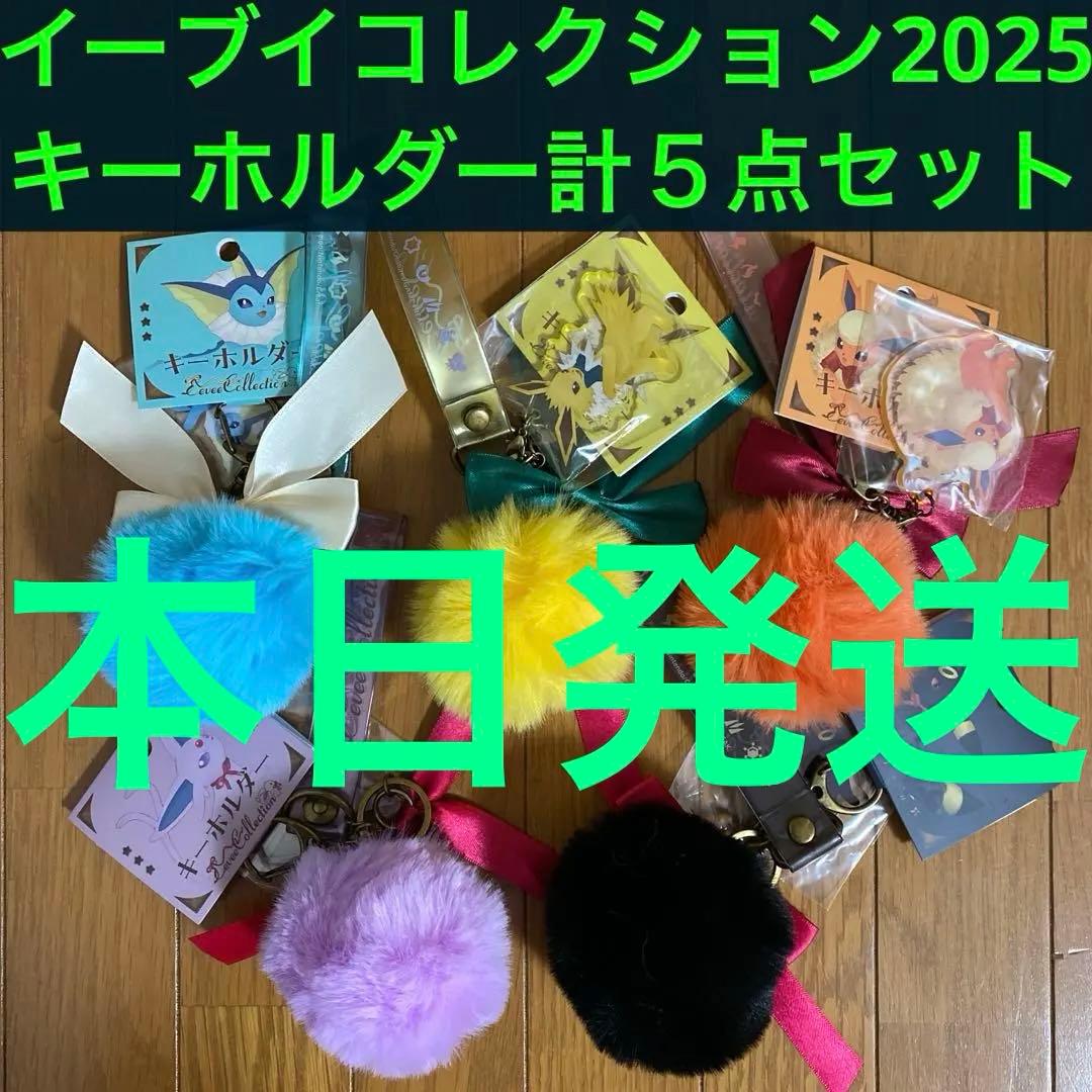 キーホルダー シャワーズ・サンダース・ブースター・エーフィ・ブラッキー５点セット