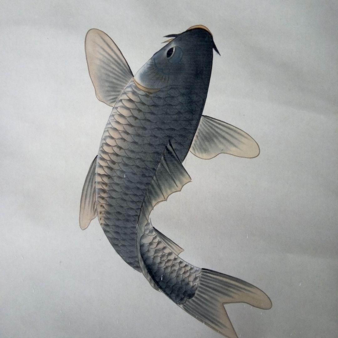 松月鯉？　松月？　鯉　掛軸（かけじく）