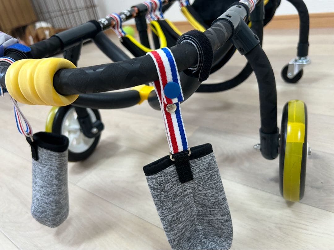 Mダックス歩行器、犬用車いす