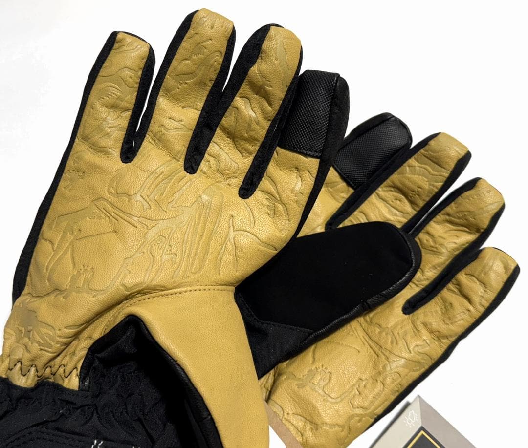 新品 DAKINE ダカイン TEAM FILLMORE GORE TEX M