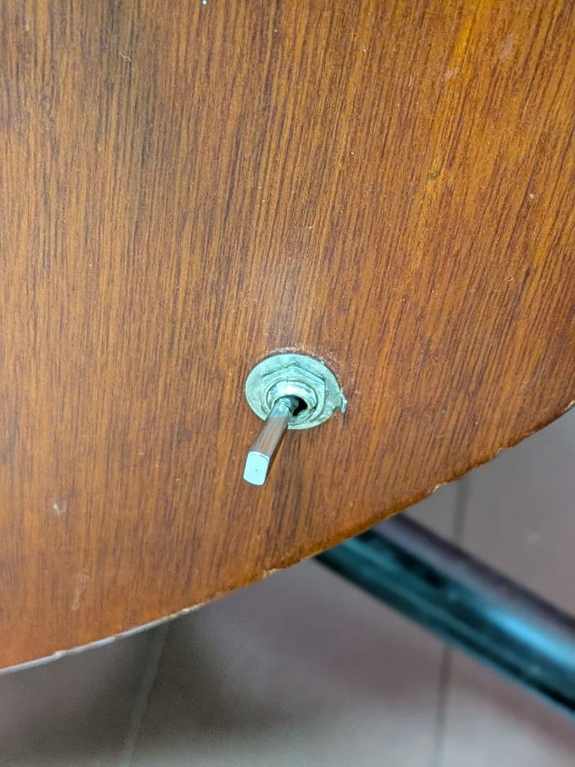 つ*ぎ様 【現状品】Burny HR-85 500本限定 hideモデル 専用ハ