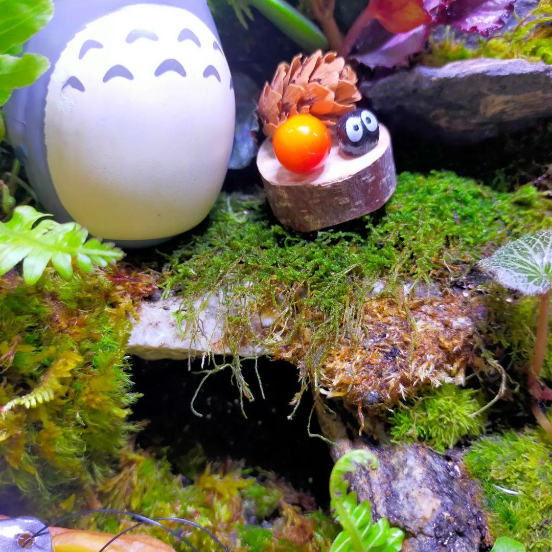 隠れ家付き！大自然の中の飼育箱、