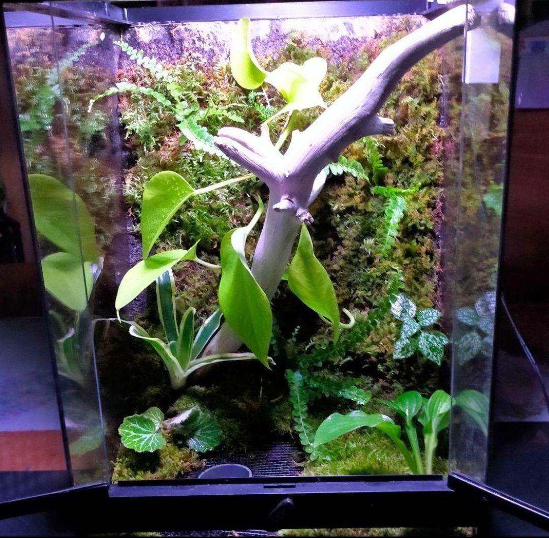 隠れ家付き！大自然の中の飼育箱、