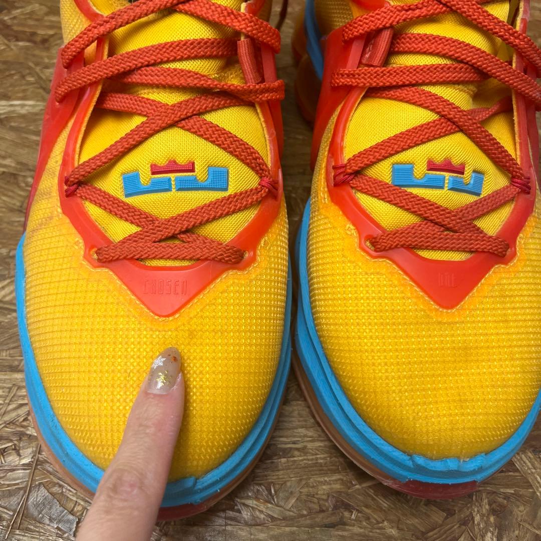 NIKE スペースジャム x レブロン 19 EP Tune Squad