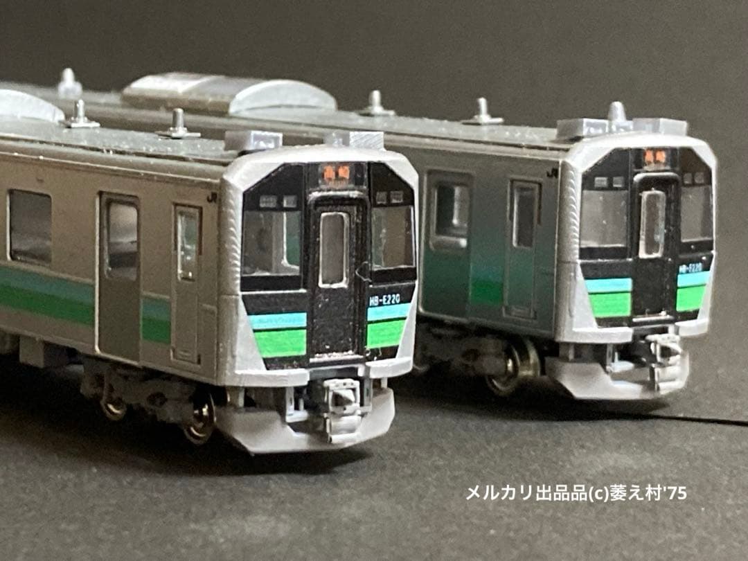 特製組立品　Nゲージ　HB-E220 暖地向け(八高線)2両セット