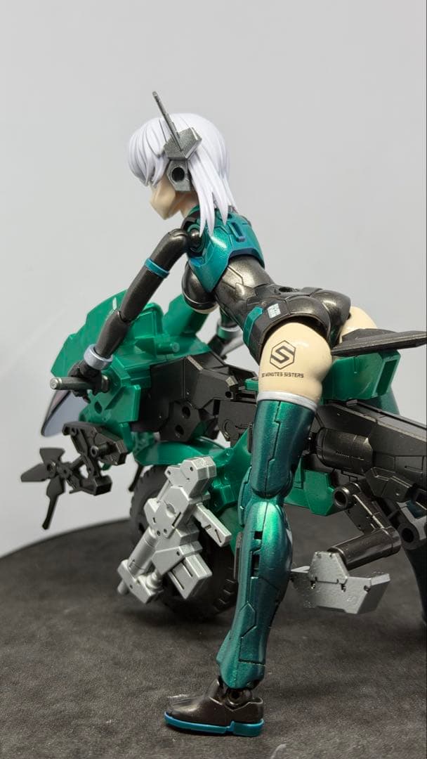 30ms オリジナルシスターとエグザビークル