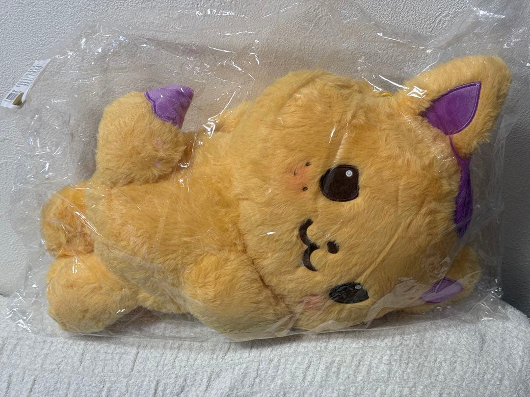 NCTWISH シオン　シオニン バッグトレカ付き