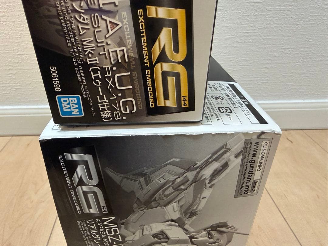 ＊RGガンプラ2体セット