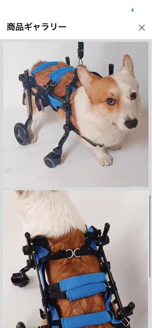 犬用車いす 青と白 小型犬用　中型犬用