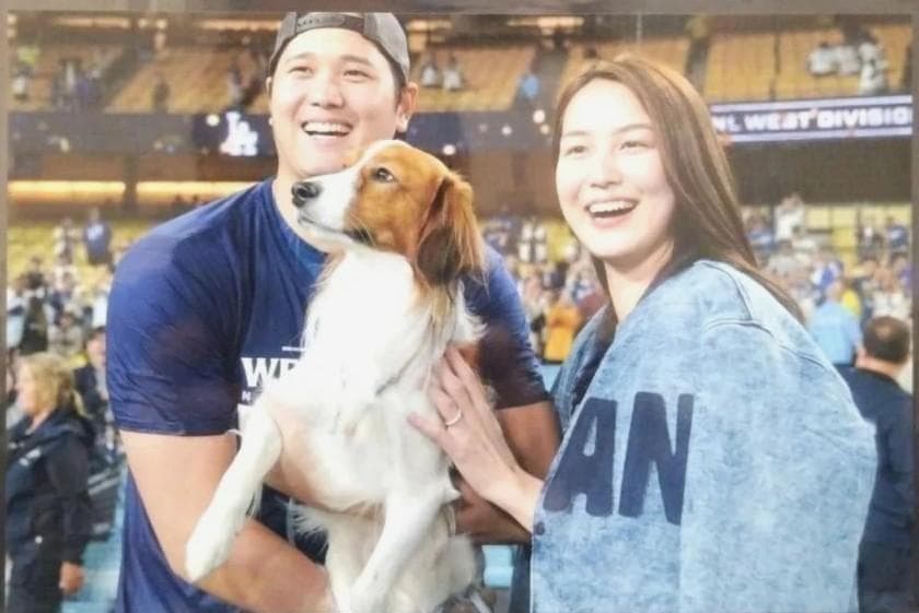 大谷翔平 MLB ドジャース 記念セット ボール＆カード 　真美子＆デコピン他