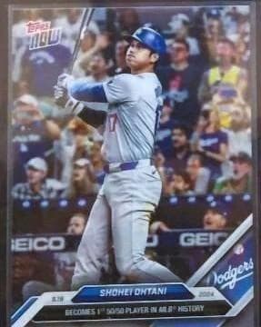 大谷翔平 MLB ドジャース 記念セット ボール＆カード 　真美子＆デコピン他