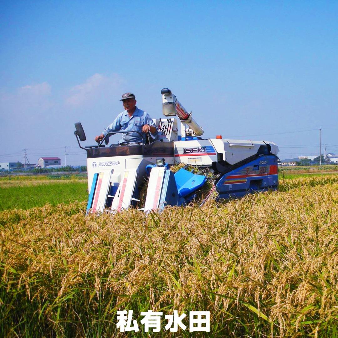 【令和7年度産】西条の名水で育てたお米 にじのきらめき 新米の玄米 20kg