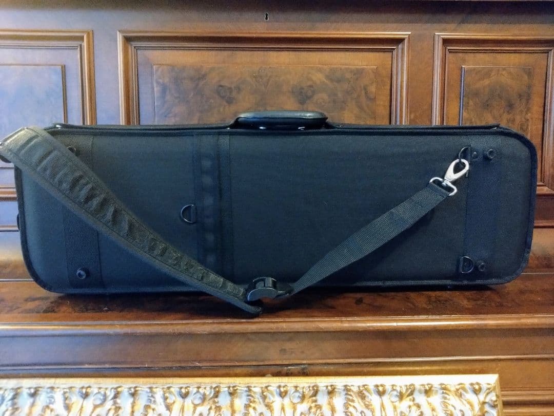 GEWA ゲヴァ　ヴァイオリンケース　美品　VENEZIA　4/4