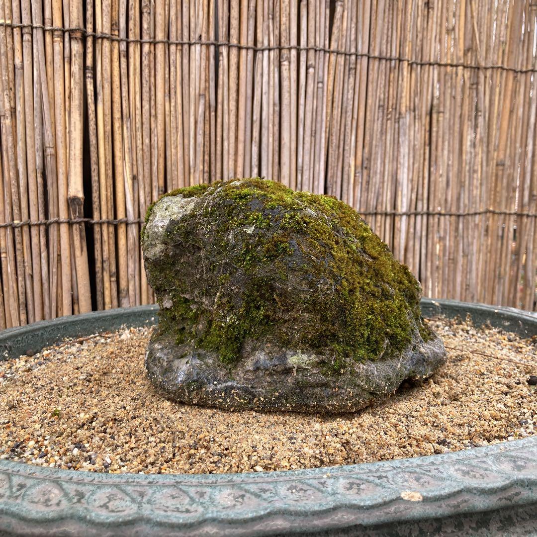 京都　貴船　糸掛石【A】