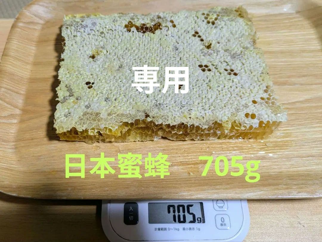 日本みつばち　コムハニー　705g 巣蜜　無農薬　とれたて　オススメ
