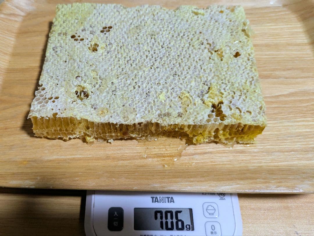 日本みつばち　コムハニー　705g 巣蜜　無農薬　とれたて　オススメ